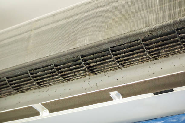 Best HVAC Duct Inspection Services  in West Point, UT