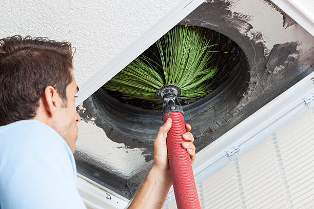 Best Air Duct Cleaning Near Me  in West Point, UT