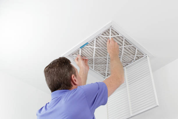 Best Affordable Duct Cleaning Services  in West Point, UT